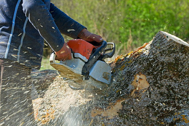 Best Tree Mulching Services  in Smithfield, VA